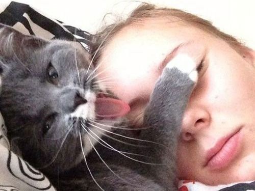 わかる わかるよ 猫を飼っているとありがちなこと 写真枚 らばq