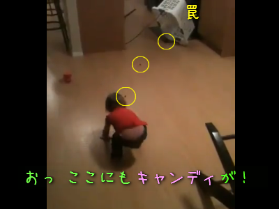 実験 果たして人間の赤ちゃんは罠にかかるのであろうか 動画 らばq