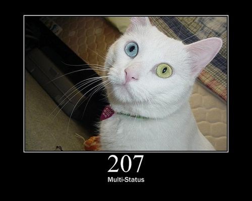 なんてわかりやすい 猫で覚えるネットのあの表示 らばq