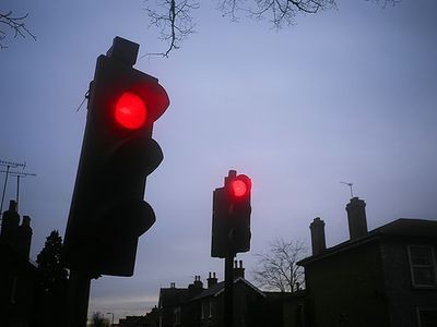 なんと赤信号にハトが巣作ってしまった イギリスの交差点 らばq