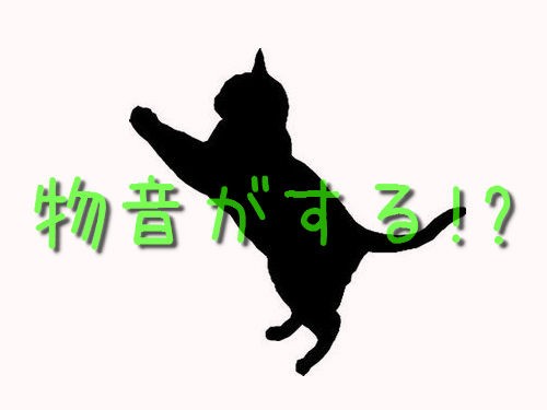 猫と言えば あのトラップ 店で物音がするので仕掛けてみた むむっ らばq