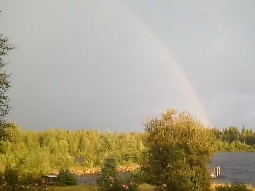 たった10秒後に 自然がいかに恐ろしいかを実感した 動画 らばq