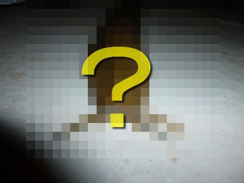 両親の庭にナメクジが出て困ってる 衝撃的だと話題の写真 閲覧注意 らばq