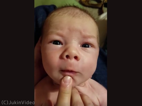 美声なのに大爆笑 熱唱する赤ちゃん 動画 らばq