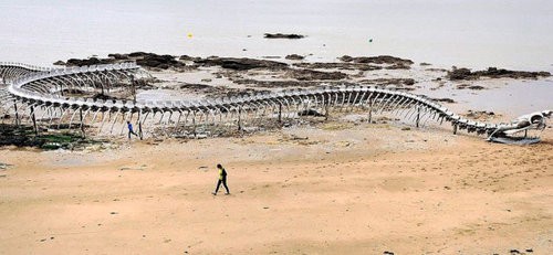 まるで海竜リヴァイアサン フランスの水辺に浮かぶ巨大なサーペントの骨 らばq