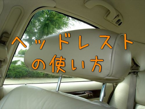 犬 ヘッドレストの使い方なんて聞いてないもん かわいい写真が撮れた らばq