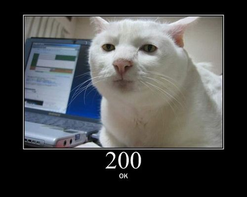 なんてわかりやすい 猫で覚えるネットのあの表示 らばq