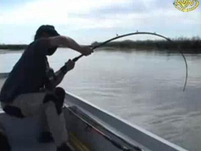 釣りざお折れそう 2メートル46センチの巨大ナマズを釣り上げる 動画 らばq