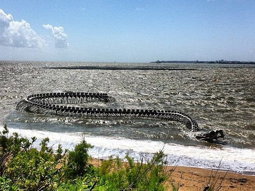 まるで海竜リヴァイアサン フランスの水辺に浮かぶ巨大なサーペントの骨 らばq