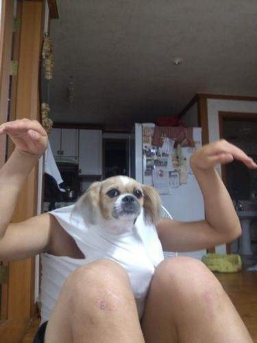 一瞬 あれ と悩んでしまう動物たちのミラクルな写真14枚 らばq