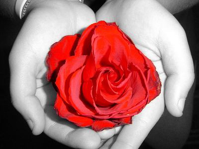 人によっては美しいと思うかもしれない 世界の薔薇と薔薇っぽい人の写真いろいろ らばq