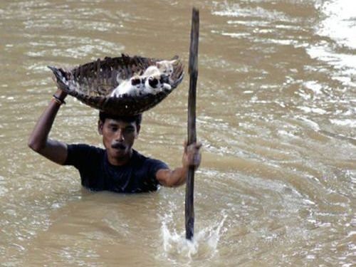心打たれる 動物を助けるために奮闘する人々の写真枚 らばq 心打たれる 動物を助けるために奮闘する人々の写真枚 らばq