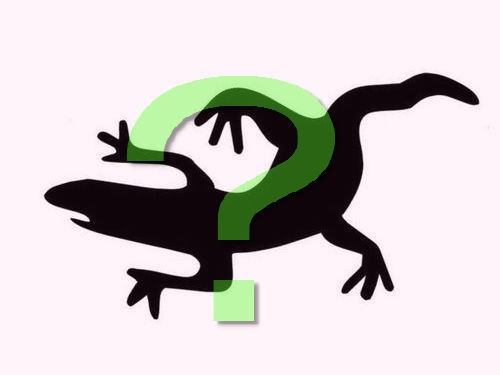 悪魔の使い」と恐れられているヤモリの姿が話題に : らばQ