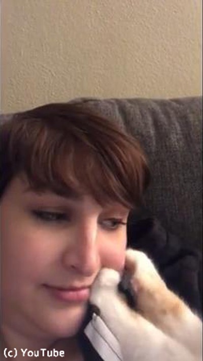 猫にほっぺを踏み踏みされる女性 世界中から羨望の眼差しを浴びる 動画 らばq