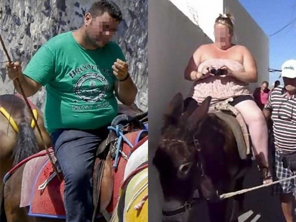 ギリシャが肥満の観光客をロバに乗せるのを禁止00