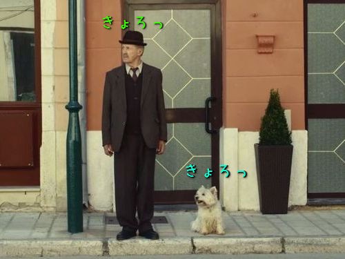 犬のいる生活がどれだけ素晴らしいかを教えてくれる おじいさんと愛犬の物語 動画 らばq