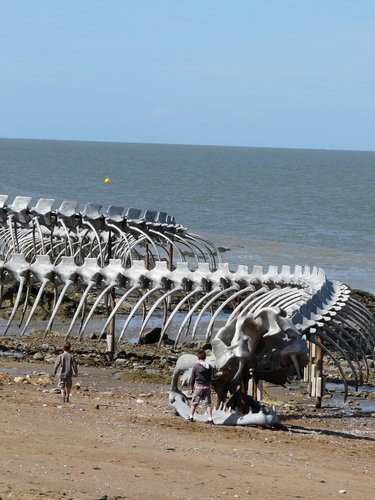 まるで海竜リヴァイアサン フランスの水辺に浮かぶ巨大なサーペントの骨 らばq