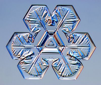 Snowflake and Snow Crystal Photographs