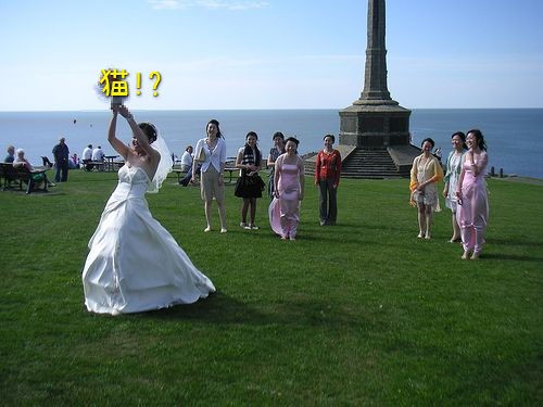 何をするニャー」結婚式で花嫁が投げるブーケを『猫』に置き換えた写真