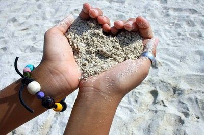 生涯愛することを誓いますか 浮気をしない動物10種類 らばq