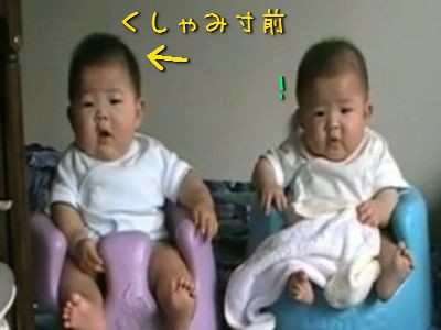 驚いた 双子の赤ちゃんの片方がくしゃみ もう一人は 動画 らばq