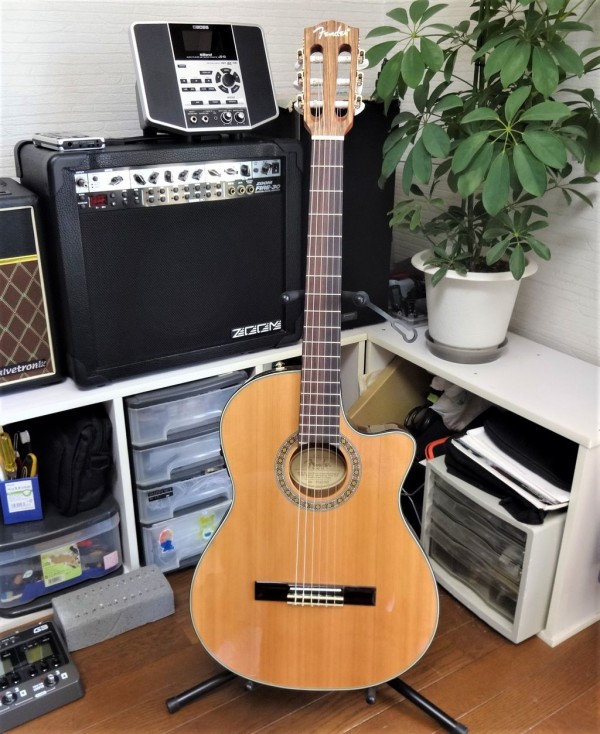【ジャンク】Fender CN-240SCE NAT エレガット Fender CN-240SCE Classical Cutaway Nylon Acoustic-Electric