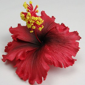 ハイビスカス造花ウレタンフォームフラワー花材部材 造花花材専門通販問屋lani Flower Market Weblog