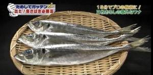 出た 魚さばき必勝法 ためしてガッテン 2011年3月2日放送 らっぱのはらっぱ