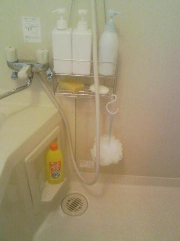 風呂の収納 無印週間で吊せるステンレスシャワーラックを購入 ホンマに住めば都 なんやろか