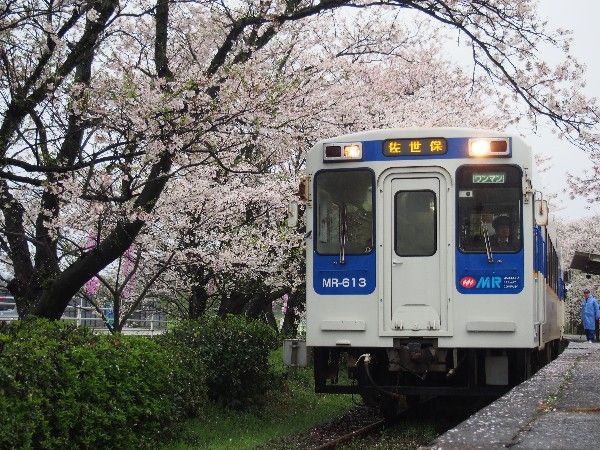 松浦鉄道 浦ノ崎駅の桜 Ld Saijyo Wtのblog