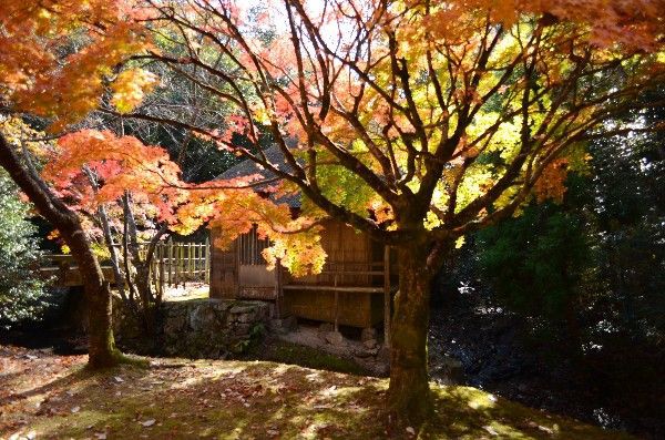 紅葉めぐり 旧閑谷学校 黄葉亭 Ld Saijyo Wtのblog