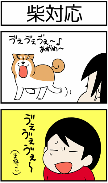 モフモフお尻がtwitterでも話題に おバカで明るい柴犬 どんぐりの生態を描く絵日記ブログ Livedoor Blog公式ブロガー ライブドアブログstyle