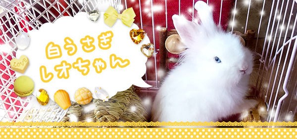 Diyで作る こどもと過ごすおうち時間 など4組の有名ブログが登場 ライブドアブログstyle