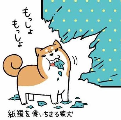 キーワードは ドヤ顔 絵日記スタイルで大人気の柴犬ブログが待望の書籍化 ライブドアブログstyle