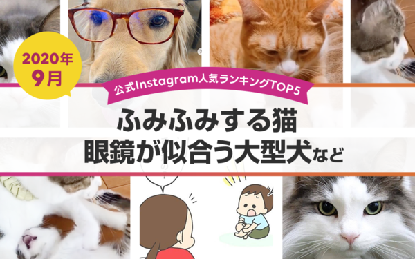 公式instagram人気ランキングtop5 年9月 ふみふみする猫 眼鏡が似合う大型犬など ライブドアブログstyle