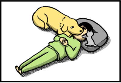 まめこ　ページ まめきちまめこ (@mamekichirou) / Posts / X