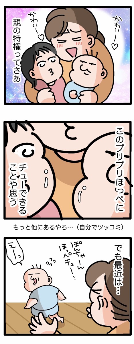 読者の心を掴む2ブログが公式ブログに仲間入り♪【2025年9月に公式化