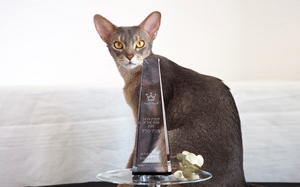 3匹の猫と12歳下の夫との暮らしをナチュラルにつづる おうちごはんとおかしとねこ Joli Joli さんグランプリ受賞インタビュー ライブドア ブログstyle