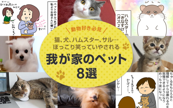 動物好き必見 猫 犬 ハムスター サル ほっこり笑っていやされる 我が家のペット 8選 ライブドアブログstyle