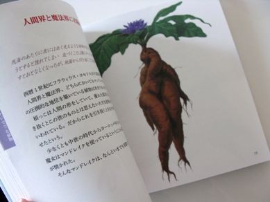 西畠清順 そらみみ植物園 ヨムイヤシ 読む癒し