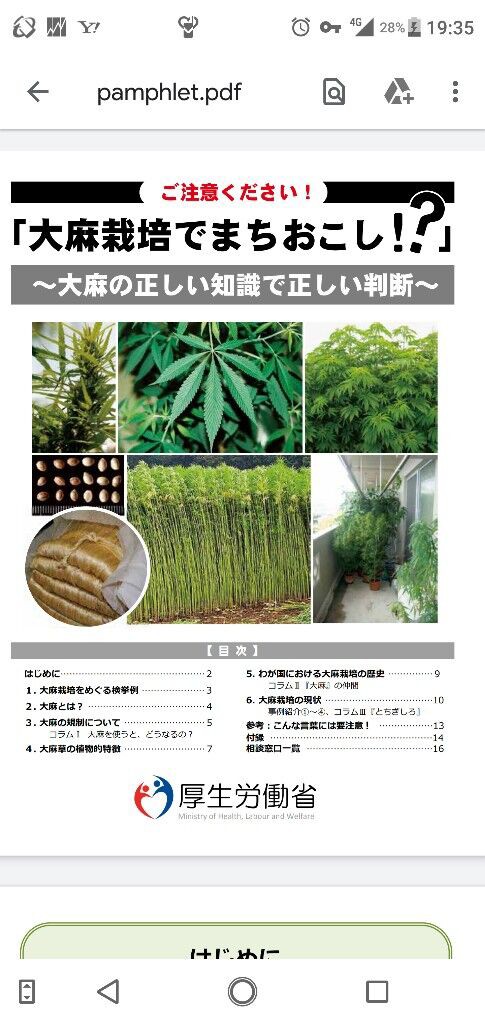 速報 19歳のjkさん アパートで大麻を栽培して逮捕ｗ なんでも実況ピンク