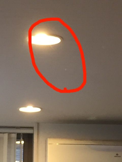 天井から蜘蛛の糸 すくすく