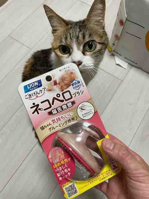 52%OFF!】 C280-2 猫のおもちゃ キラキラポンポン