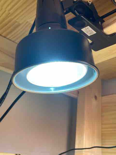 ゼンスイ ソラリウムセット(メタルハライドランプ 灯具) 70W - 通販