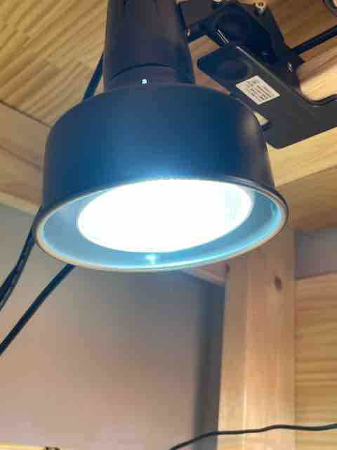 ゼンスイ ソラリウム 備わ 50w メタルハライドランプ