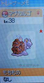 色違いポケモン画像 色違いポケモン捕獲中 色違いポケモン画像 色違いポケモン捕獲中