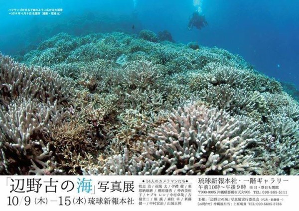 日本画　逆襲のジュゴン　沖縄　辺野古　琉球 天然記念物のジュゴン1頭の死骸発見 沖縄 | 毎日新聞