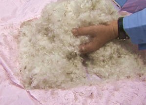 ダウン 鳥の羽 について 初心者編 ユニクロのダウン と 羽毛ふとん から Ngo Life Investigation Agency