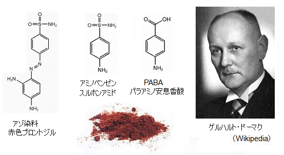 第39回ノーベル生理学・医学賞 命を救った赤い染料「プロントジル」の抗菌効果！ : サイエンスジャーナル