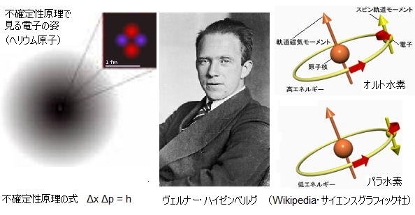 第32回ノーベル物理学賞 量子力学の幕開け！ハイゼンベルク「不確定性